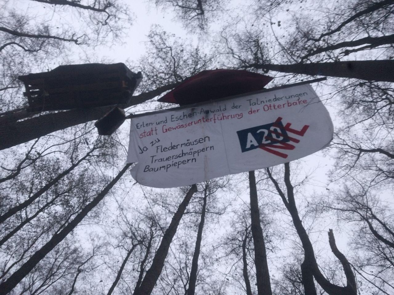 Botschaft in den Bäumen